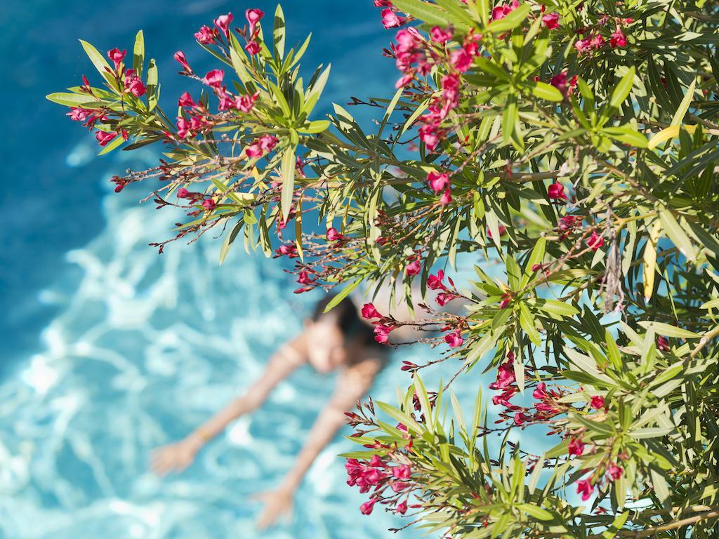 Le Val Duchesse Hotel & Appartements 滨海卡涅 外观 照片